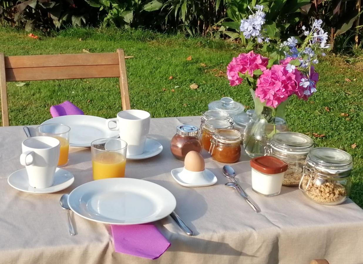 Bed and Breakfast Domaine De La Castagnere Castetnau-Camblong Екстер'єр фото