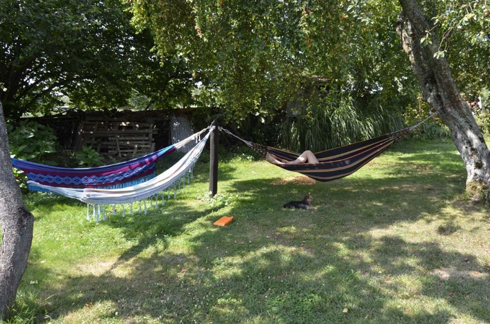 Bed and Breakfast Domaine De La Castagnere Castetnau-Camblong Екстер'єр фото